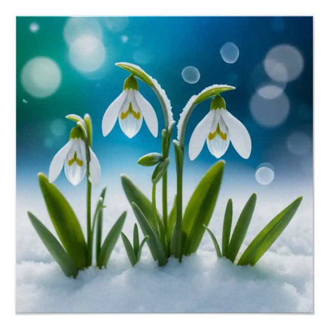 Snowdrops #2 Wall Art (Front)