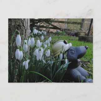 snowdrops and mole postcard
