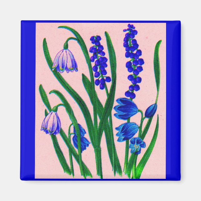 snowdrops and scilla magnet (Front)