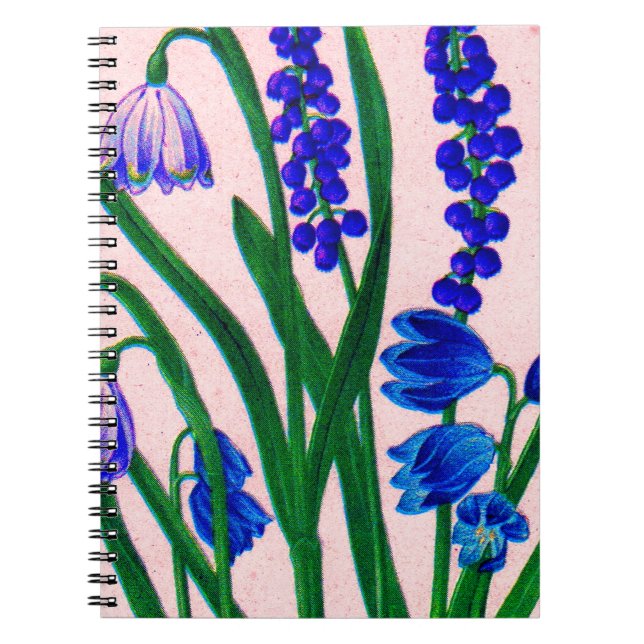 snowdrops and scilla notebook (Front)
