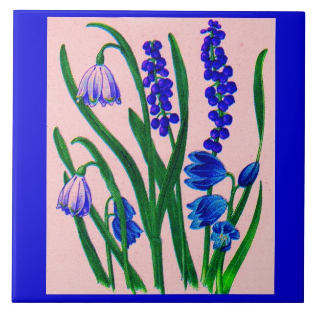 snowdrops and scilla tile (Front)