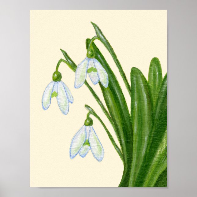 Snowdrops art print. poster (Front)