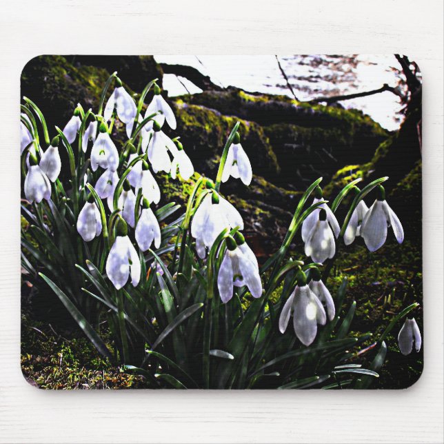 Snowdrops by River Hafren Mousemat (Front)