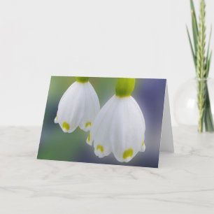 Snowdrops Card
