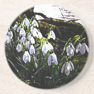 Snowdrops Coaster