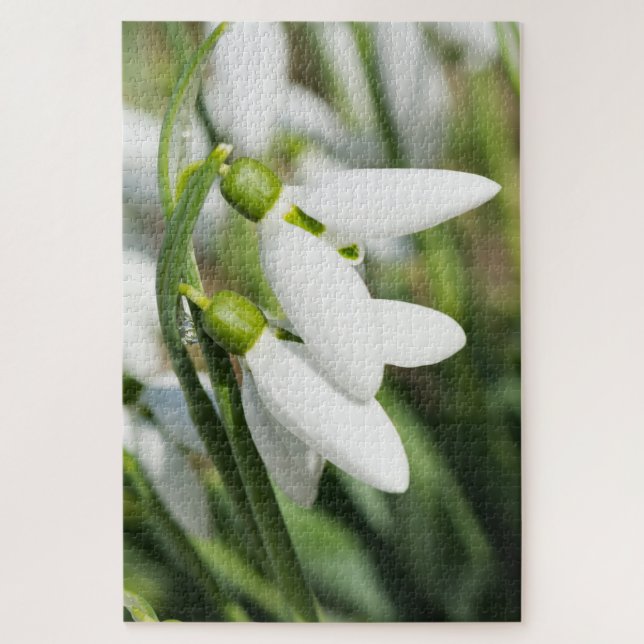Snowdrops flowers jigsaw puzzle (Vertical)