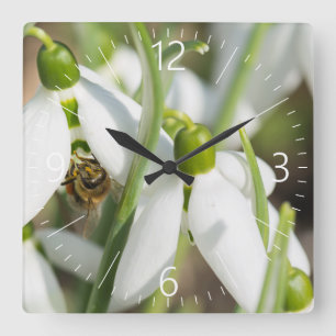 Snowdrops flowers square wall clock