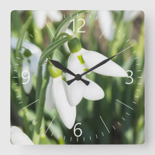 Snowdrops flowers square wall clock