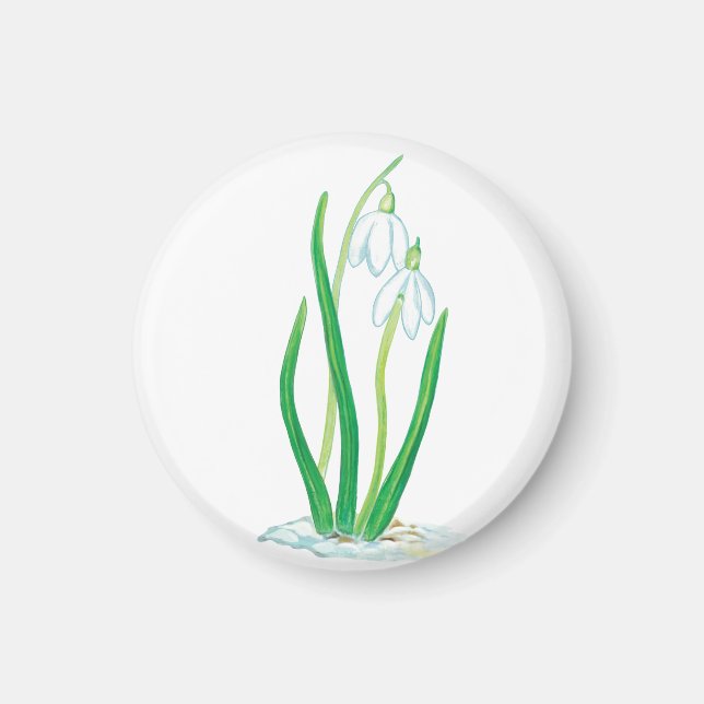 Snowdrops (Galanthus nivalis) Magnet (Front)