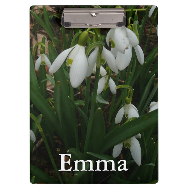 Snowdrops I (Galanthus) White Spring Flowers Clipboard (Front)
