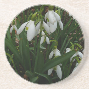Snowdrops I (Galanthus) White Spring Flowers Coaster