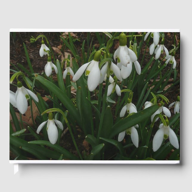 Snowdrops I (Galanthus) White Spring Flowers Guest Book (Front)