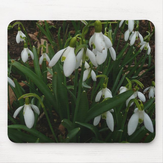 Snowdrops I (Galanthus) White Spring Flowers Mouse Pad (Front)