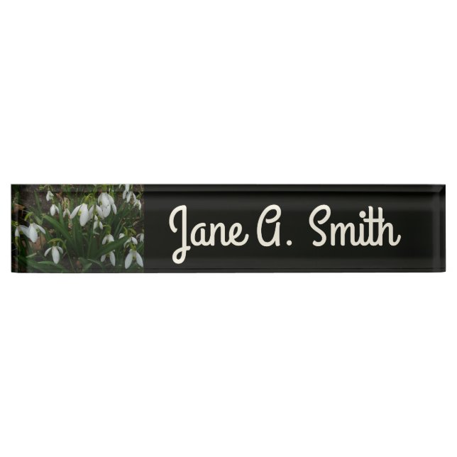 Snowdrops I (Galanthus) White Spring Flowers Nameplate (Front)