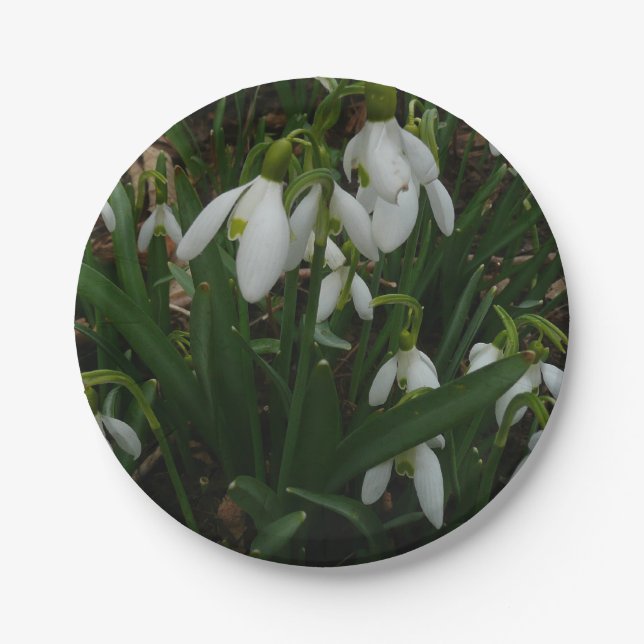 Snowdrops I (Galanthus) White Spring Flowers Paper Plate (Front)