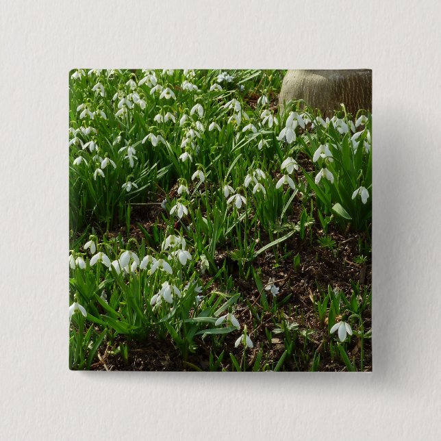 Snowdrops II (Galanthus) Spring Floral 15 Cm Square Badge (Front)