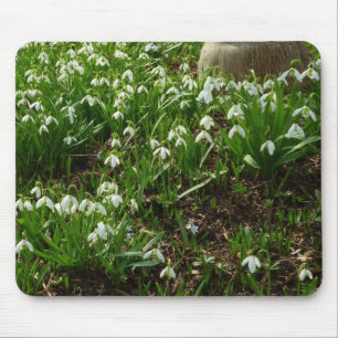 Snowdrops II (Galanthus) Spring Floral Mouse Pad