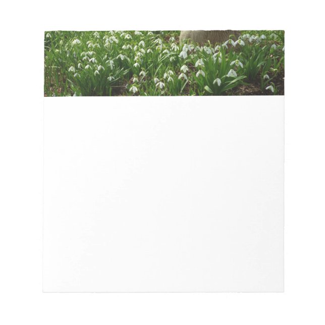 Snowdrops II (Galanthus) Spring Floral Notepad (Front)