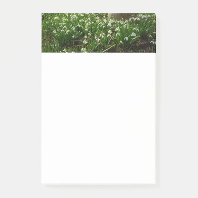Snowdrops II (Galanthus) Spring Floral Post-it Notes (Front)