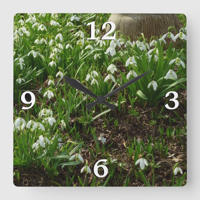 Snowdrops II (Galanthus) Spring Floral Square Wall Clock (Front)