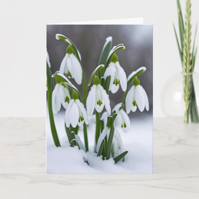 Snowdrops In Snow for Birthday Card (Front)