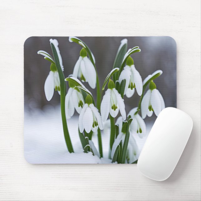 Snowdrops In Snow Mouse Pad (With Mouse)