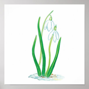 Snowdrops in Snow Poster