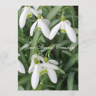 Snowdrops Invitation
