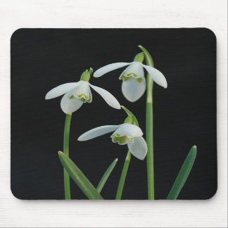 Snowdrops mousepad