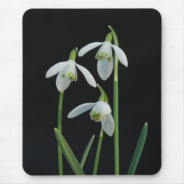 Snowdrops mousepad (Front)