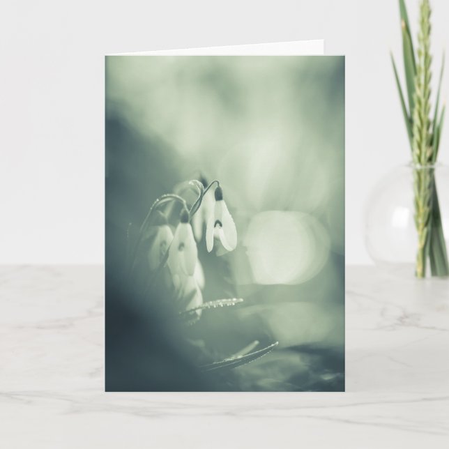 Snowdrops Nature Photo Card (Front)