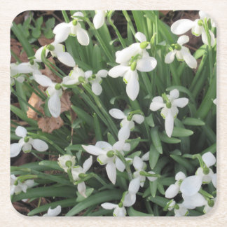 Snowdrops on a Square Coaster