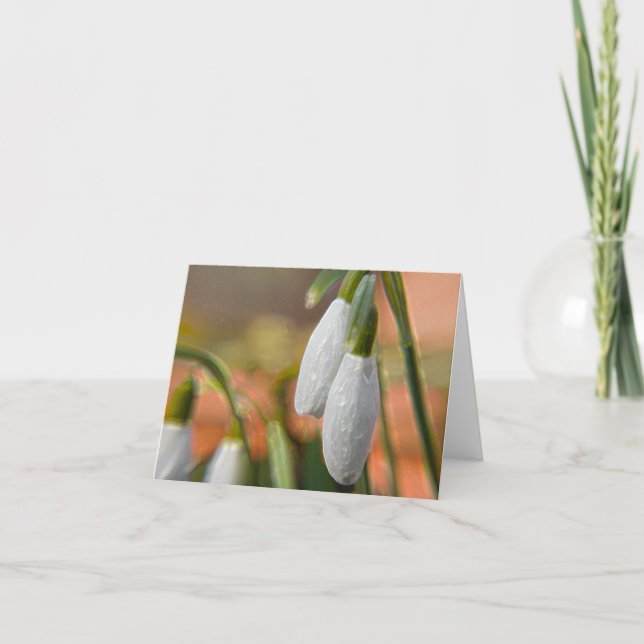 Snowdrops on Greeting Cards (Front)