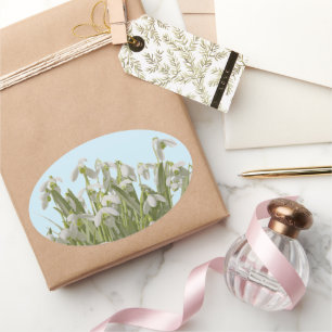 Snowdrops Oval Sticker