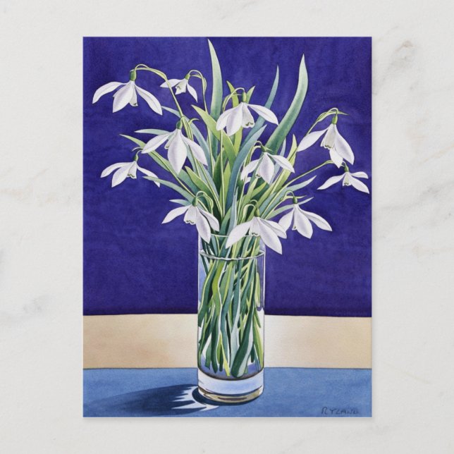 Snowdrops Postcard (Front)