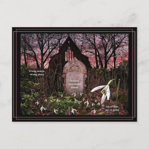 Snowdrops postcard