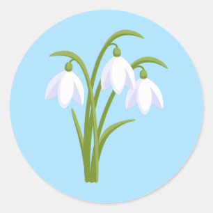 Snowdrops - Spring Flowers on Blue Classic Round Sticker