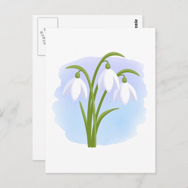 Snowdrops - Spring Flowers on Watercolor Blue Postcard (Front/Back)