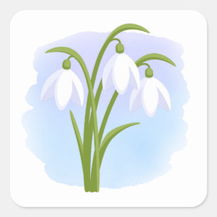 Snowdrops - Spring Flowers on Watercolor Blue Square Sticker