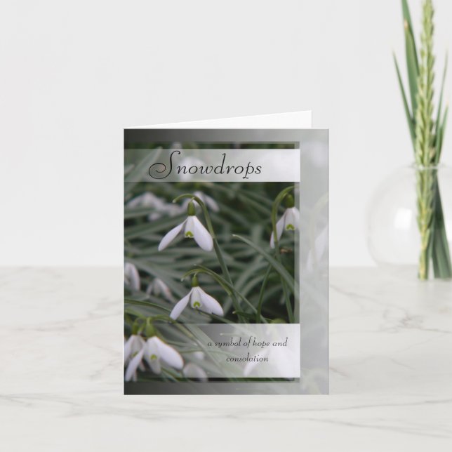 Snowdrops symbolism and info card (Front)
