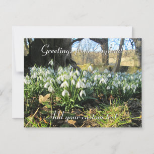 Snowdrops Under a Yew Tree - Personalised Postcard