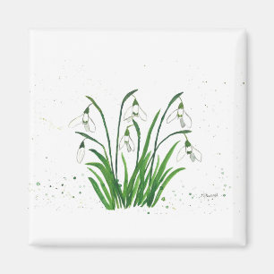Snowdrops white flowers watercolour magnet