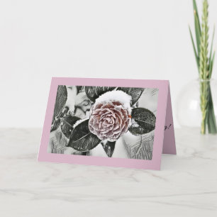 Snowed Frozen Rose Drawing Folded Greeting Card