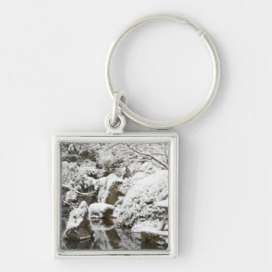 Snowfall in Portland Japanese Garden, 2 Key Ring