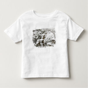 Snowfall in Portland Japanese Garden, 2 Toddler T-Shirt