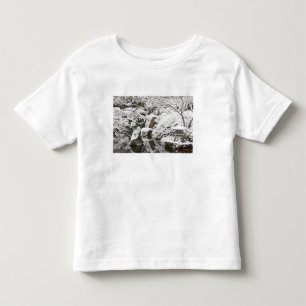 Snowfall in Portland Japanese Garden, 2 Toddler T-Shirt