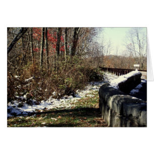 Snowfall on the Cherohala