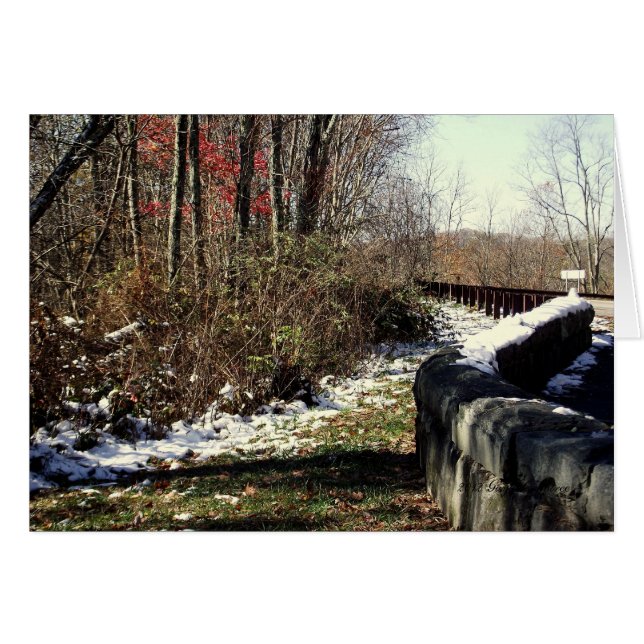 Snowfall on the Cherohala (Front Horizontal)