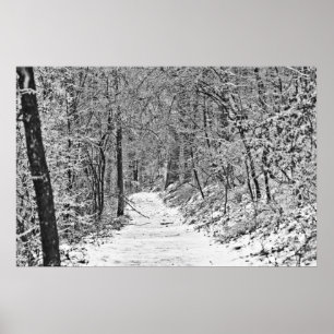 Snowfall on the Forest Trail B&W Poster
