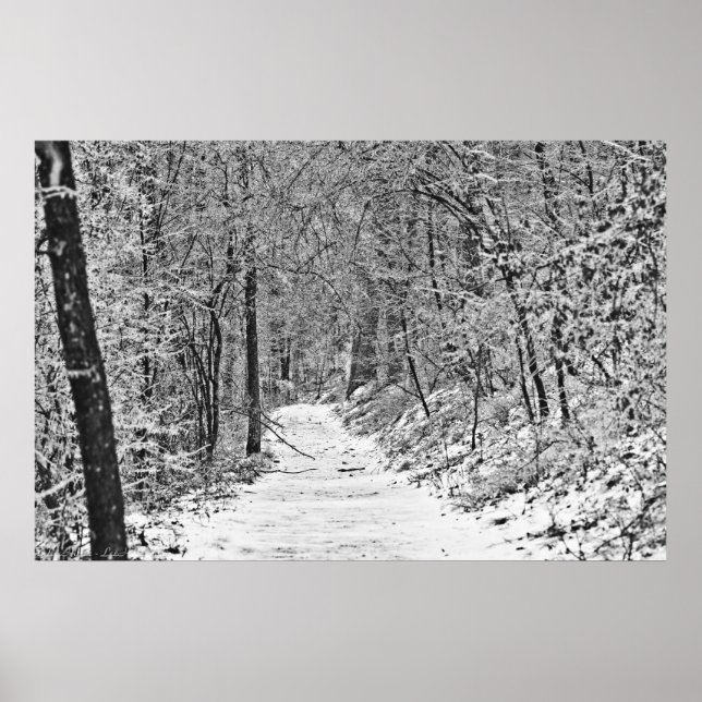 Snowfall on the Forest Trail B&W Poster (Front)